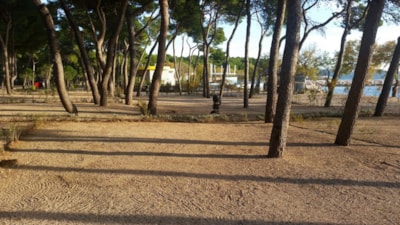 Pitch in Zona A — 2