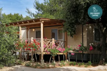 Location - Standard Mobile Home 4+2 - Amadria Park Camping Sibenik
