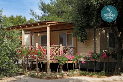 Standard mobile home 4+2 — 1