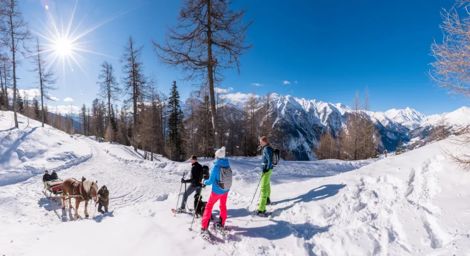 Campingplatz HOCHoben