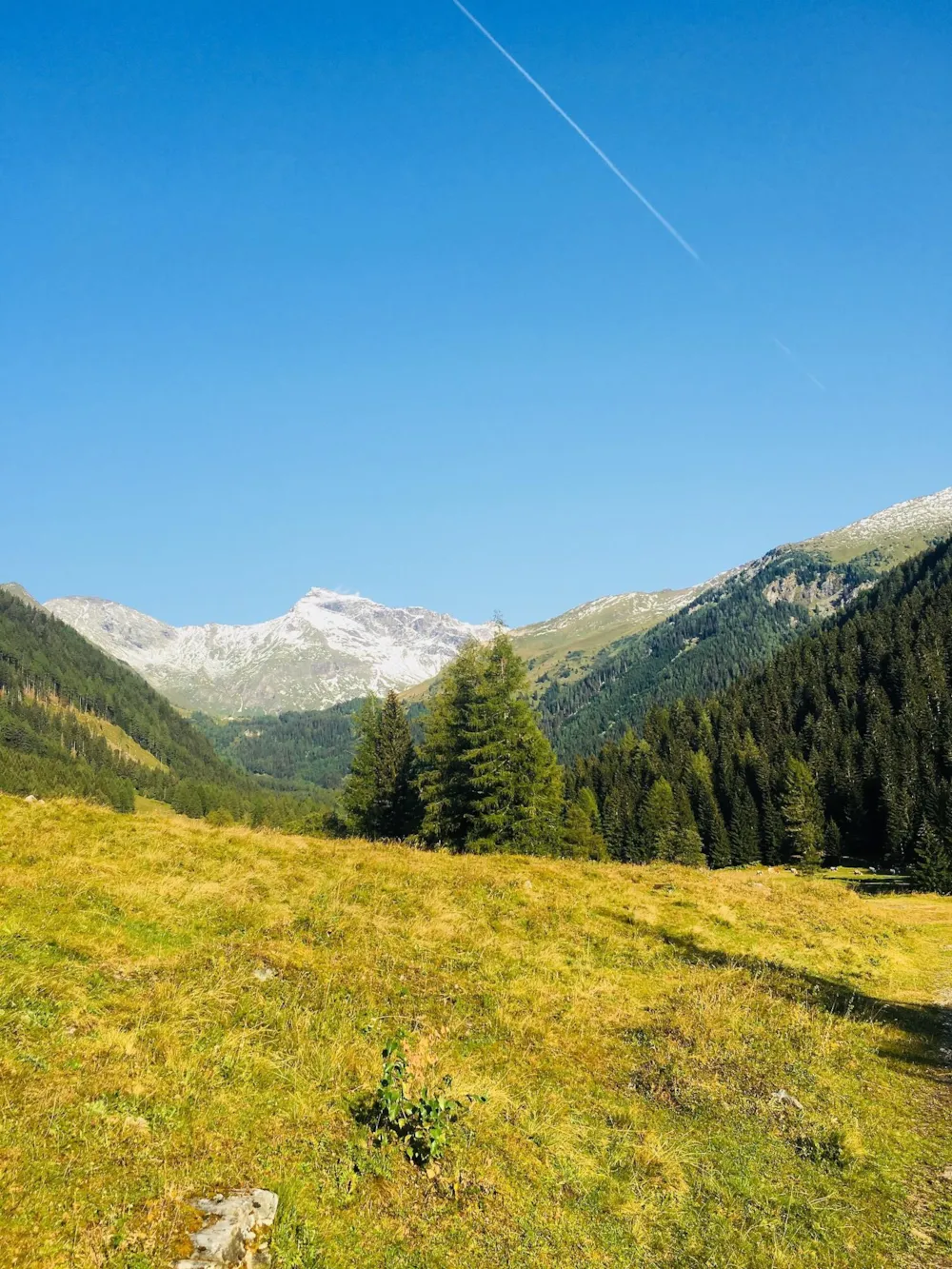 Campingplatz HOCHoben