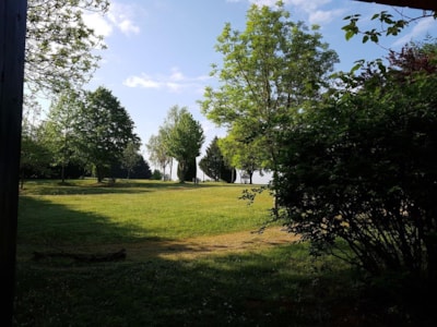 CHALET COMFORT 35m2 | 2 bedrooms | Shower room & WC