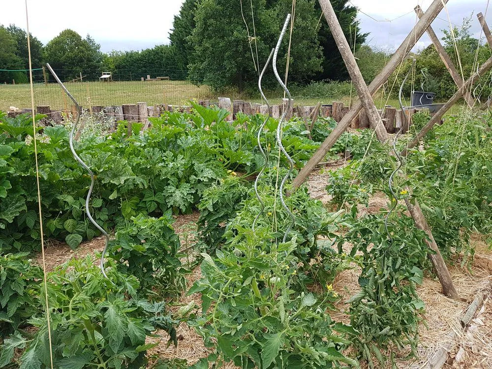 Camping Ecoresponsable Le Rêve