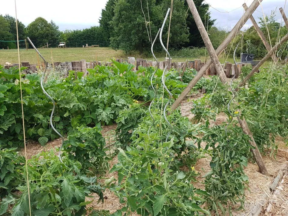 Camping Ecoresponsable Le Rêve