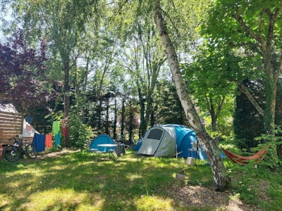 REDUCED RATE ACSI or VIA NATURA | 17€ per night, all included
