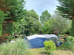 Camping Ecoresponsable Le Rêve - image n°8 - 