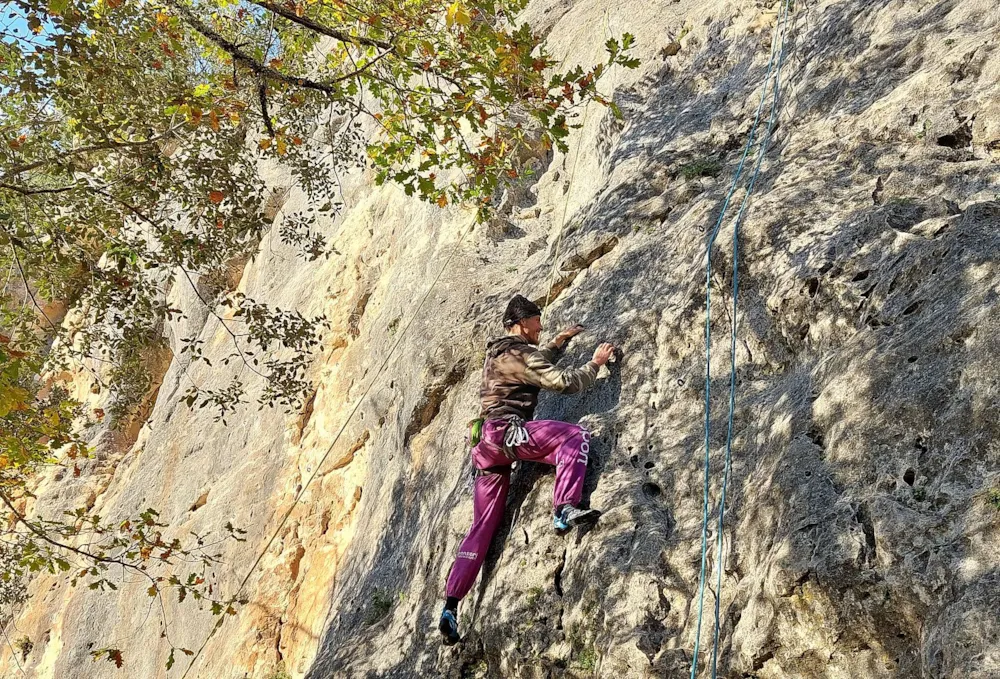 Camping Ecoresponsable Le Rêve