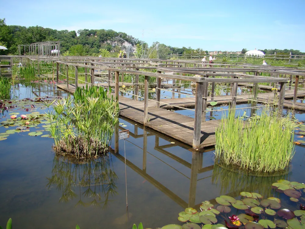 Camping Ecoresponsable Le Rêve