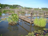 Foto #49 van Camping Ecoresponsable Le Rêve
