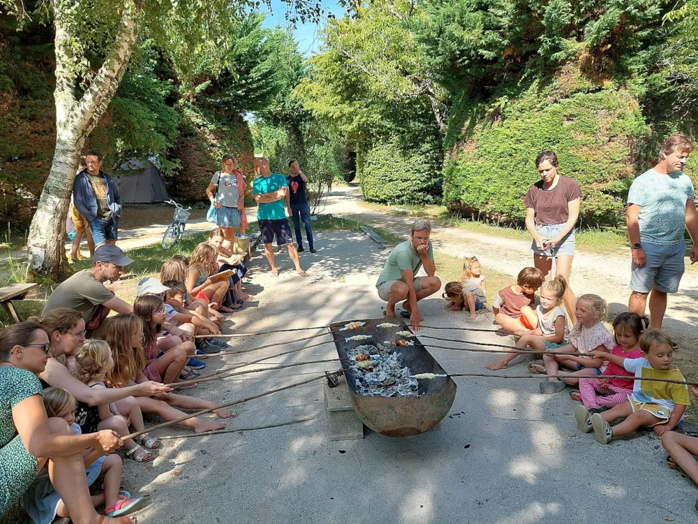 Camping Ecoresponsable Le Rêve