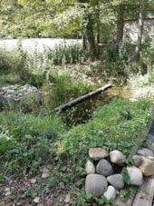 Camping Les Etangs de Saint Pancras
