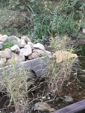 Camping Les Etangs de Saint Pancras