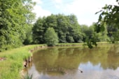 Camping Les Etangs de Saint Pancras