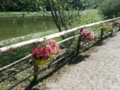 Camping Les Etangs de Saint Pancras