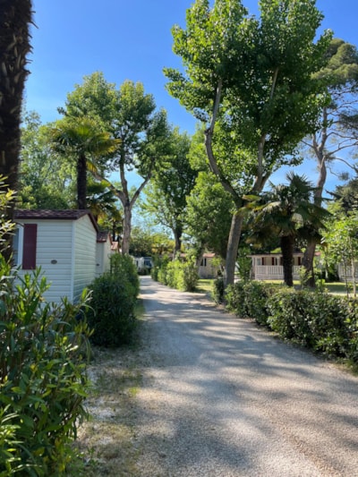 Mobile-home — 2