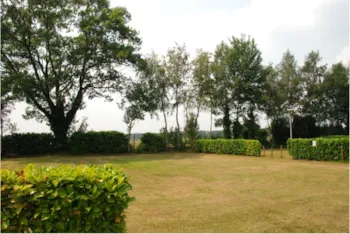 Pitch - Pitch - Vakantiepark Tulderheyde