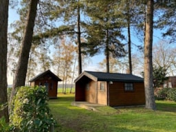 Accommodation - Hiker Cabine Big (Without Toilet Blocks) - Vakantiepark Tulderheyde