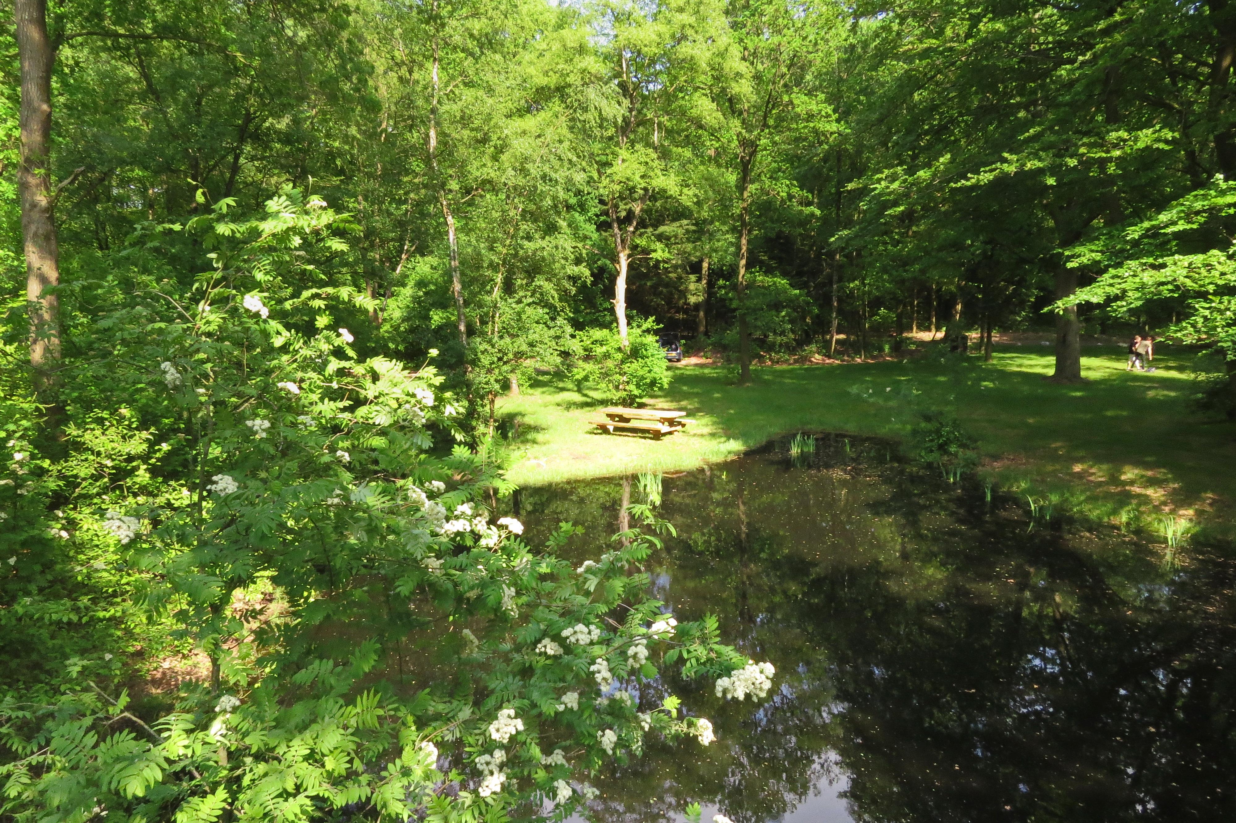 Natuurkampeerterrein Mariahoeve Natuurkampeerterrein Mariahoeve