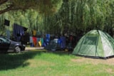 Foto #3 van Camping de la Plage