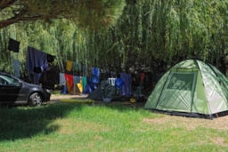 Camping de la Plage - image n°3 - Roulottes