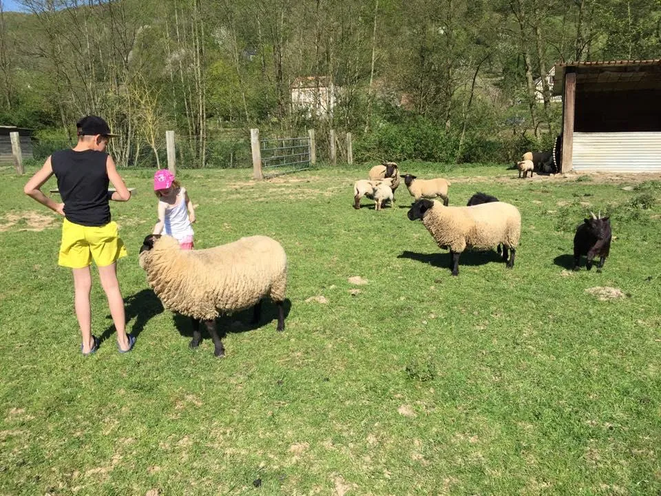 Sites et Paysages Domaine de la Catinière