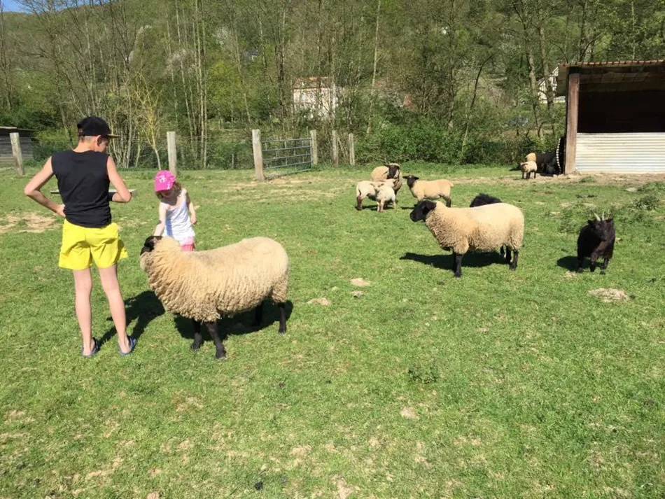 Sites et Paysages Domaine de la Catinière