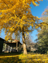 Foto #5 van Camping Les Portes du Canigou