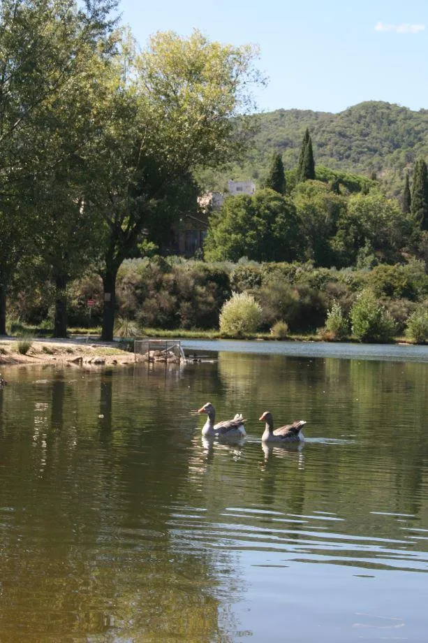 Camping Les Portes du Canigou