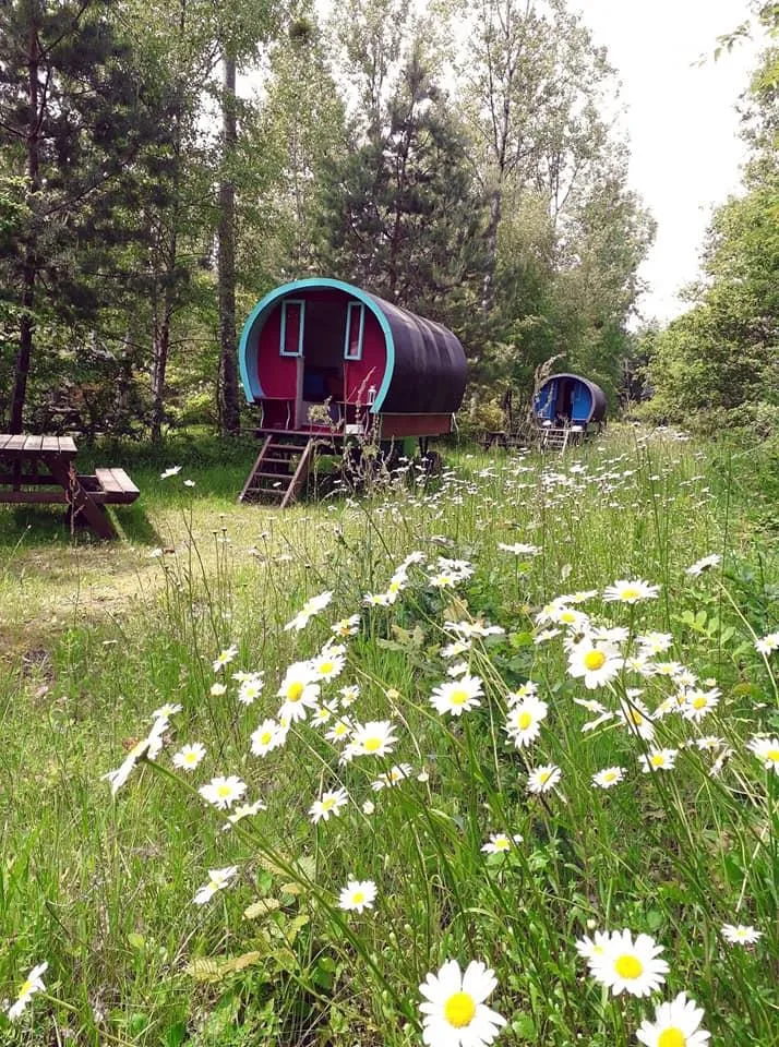 Camping l'Heureux Hasard - image n°1 - Camping2Be