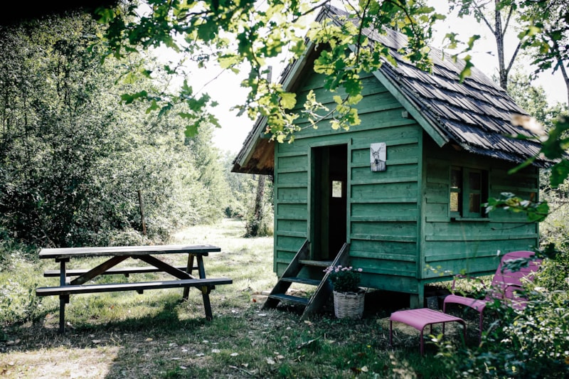 Van vintage + cabane