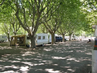Parcela Confort  (Tienda, Caravana, Autocaravana / 1 Coche + Electricidad)