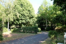 Emplacement - Emplacement + Électricité - Camping Village Gévaudan Aubrac