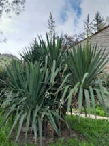 Foto #7 van Flower Camping du Gévaudan