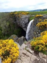 Foto #14 van Flower Camping du Gévaudan