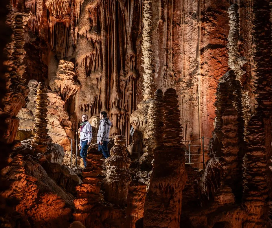 Flower Camping du Gévaudan 