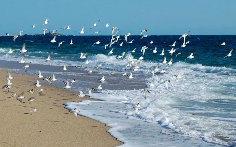 -- DOMAINE MON CALME --   Camping & Appart Hôtel