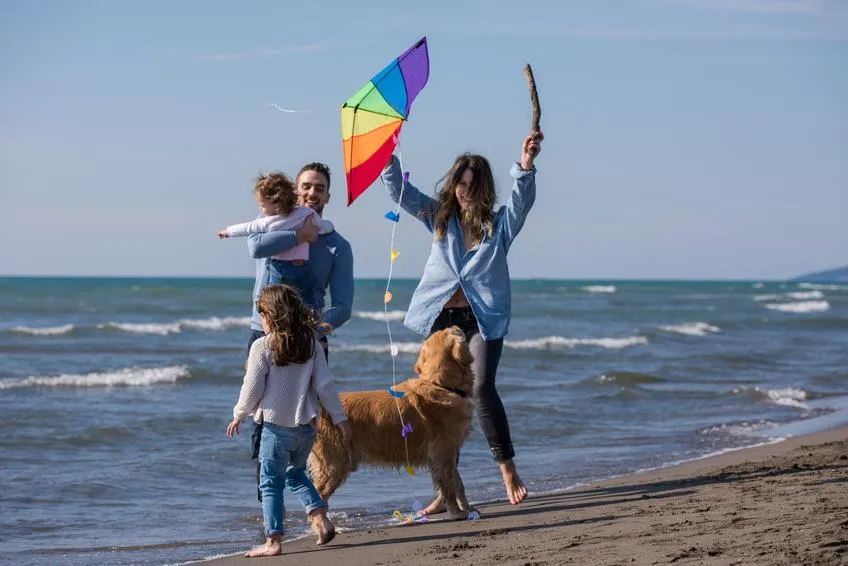 -- DOMAINE MON CALME --   Camping & Appart Hôtel