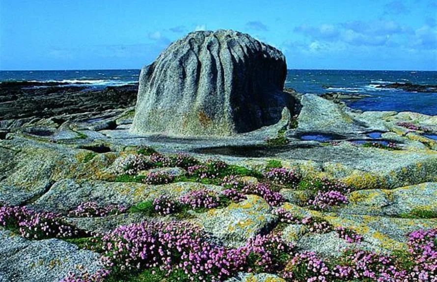 -- DOMAINE MON CALME --   Camping & Appart Hôtel