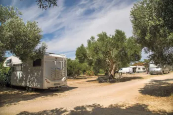 Kampeerplaats(en) - Kampeerplaats B (Standaard) - Olivia Green Camping