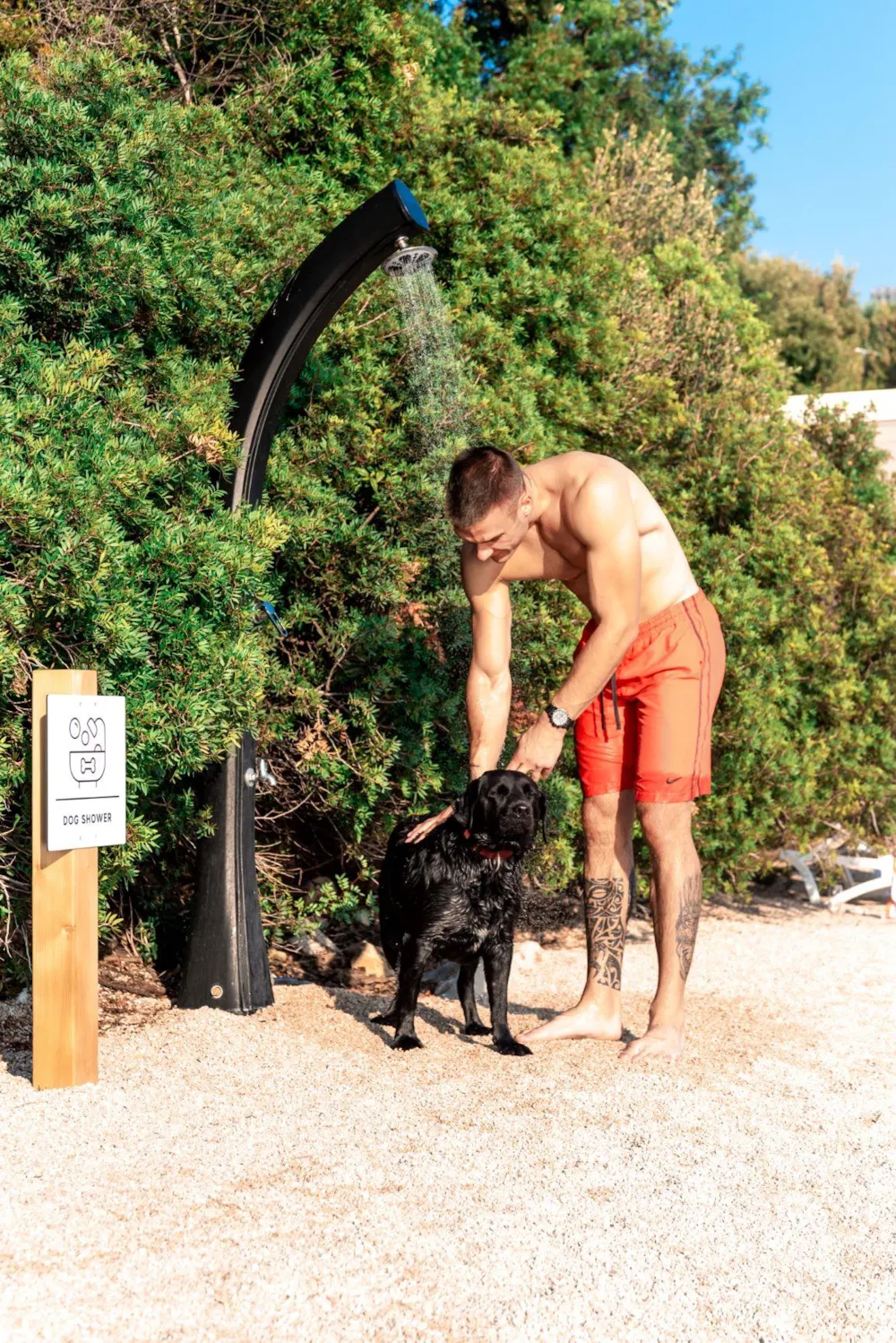 Olivia Green Camping - image n°20 - UniversalBooking