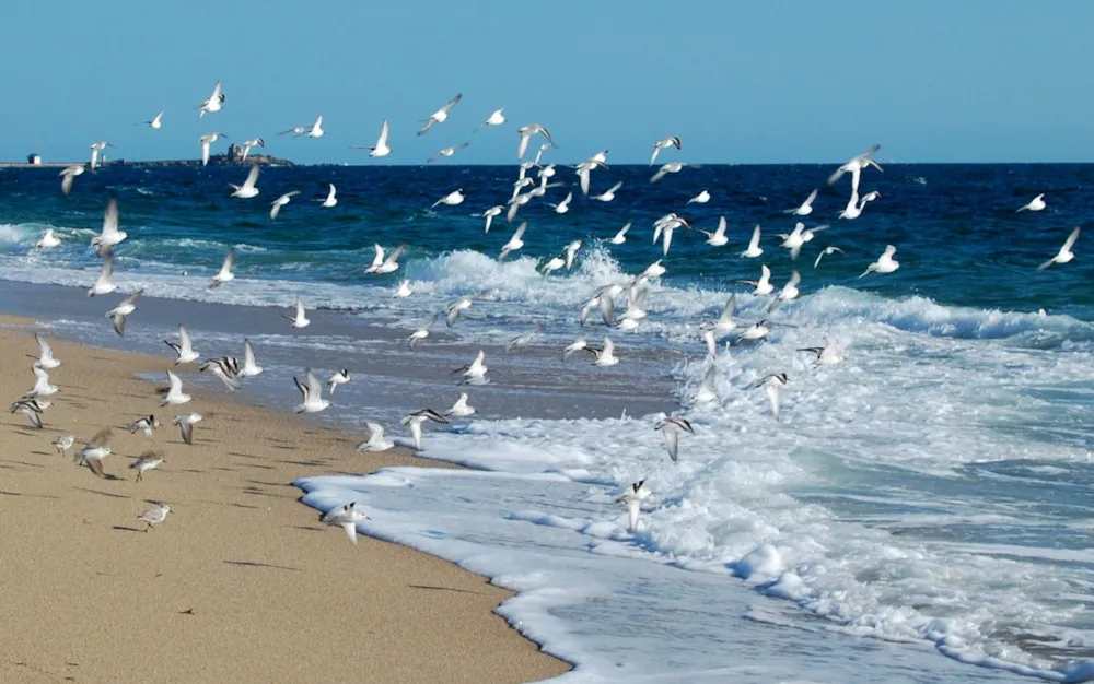 Appart' Hôtel Mon Calme - image n°13 - UniversalBooking