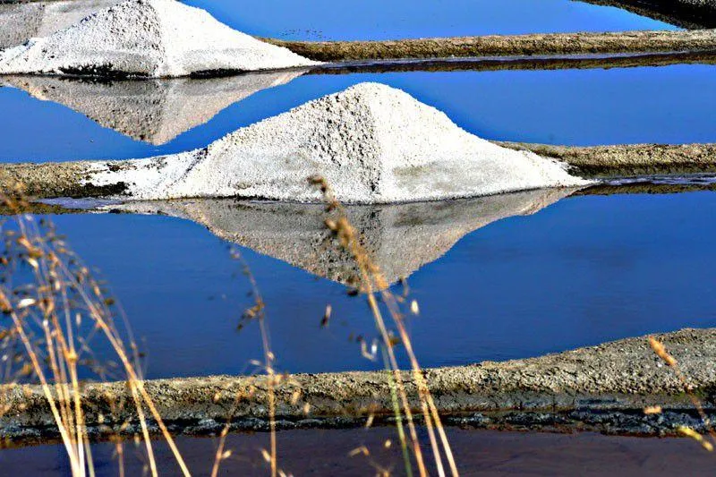 Appart' Hôtel Mon Calme - image n°23 - UniversalBooking