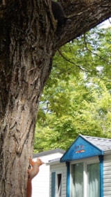 Foto #2 van Camping le Chêne