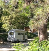 Foto #8 van Camping le Chêne