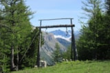 Foto #51 van Camping le Chêne