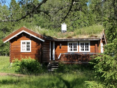 2. Langnesset