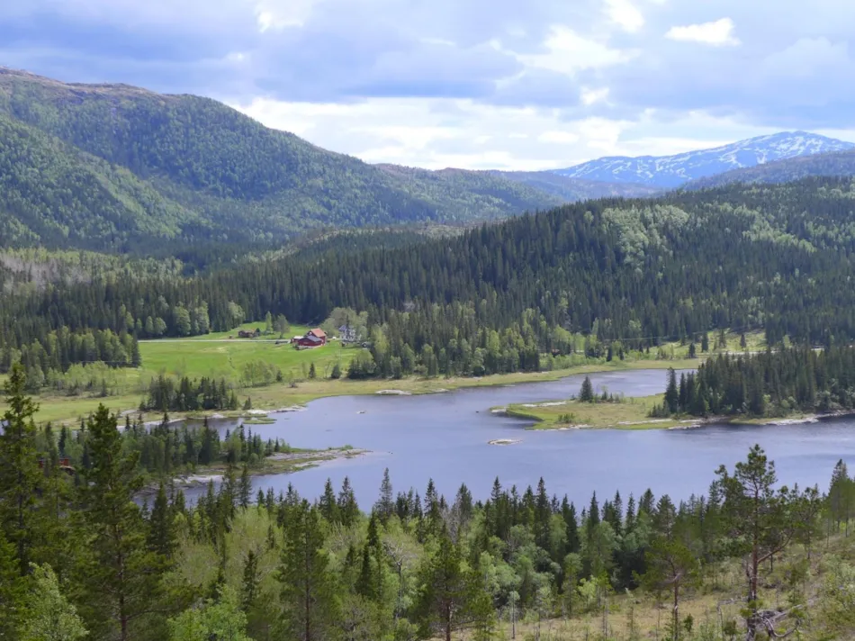 Velfjord Camping og Hytter