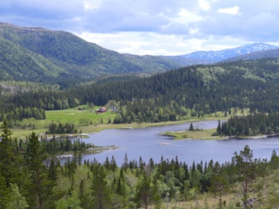 Velfjord Camping og Hytter