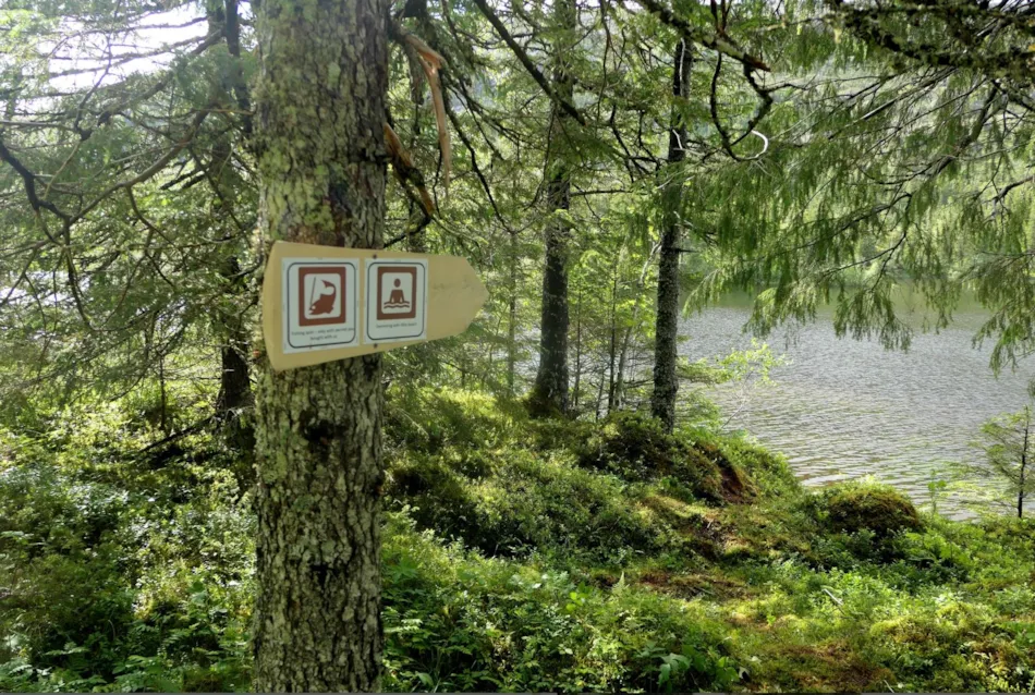 Velfjord Camping og Hytter