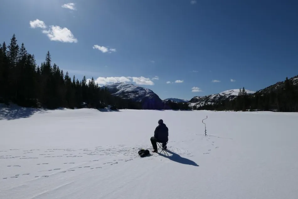 Velfjord Camping og Hytter